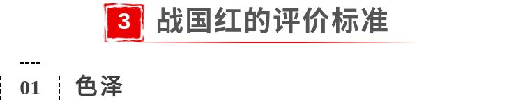 中国玉文化——战国红艺术品鉴赏  第8张