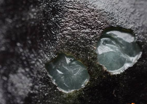 翡翠毛料的蜡皮壳很普遍吗？哪些场口出蜡壳皮翡翠毛料？   第2张