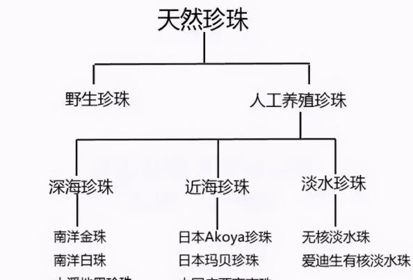 翡翠手镯标准重量珍珠的种类细分讲解，别再为买什么样的珍珠犯难了  第3张