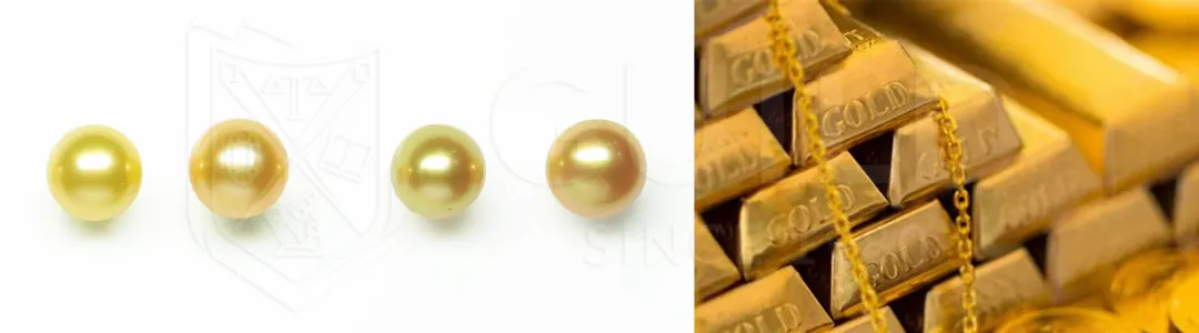 彩色珍珠的鉴定和分级  第14张