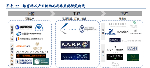 新风口渐起 培育钻石能帮我们实现“钻石自由”吗？  第7张