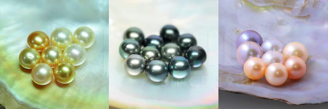 彩色珍珠的鉴定和分级  第3张