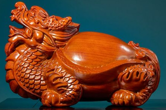 龙龟可以正对大门吗  第3张