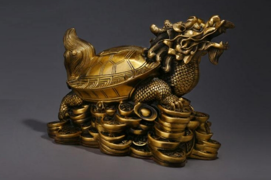 龙龟可以正对大门吗  第4张