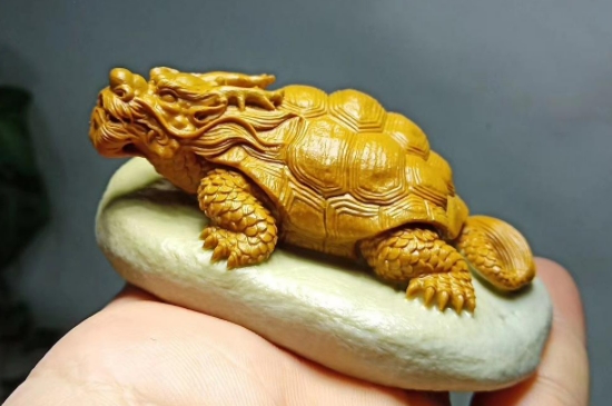 龙龟可以正对大门吗  第6张