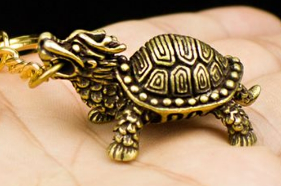 龙龟可以正对大门吗  第7张